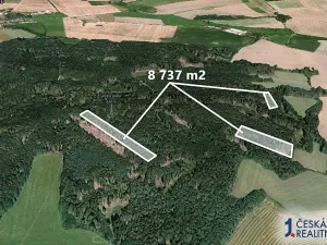 Prodej podílu lesa, Všepadly, 1092 m2