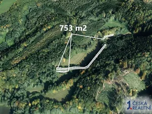 Prodej lesa, Třebovice, 657 m2