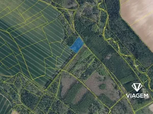 Prodej podílu lesa, Mělnické Vtelno, 980 m2
