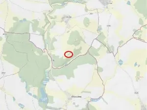 Prodej lesa, Častrov, 768 m2