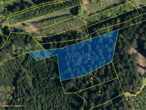 Prodej lesa, Francova Lhota, 5161 m2