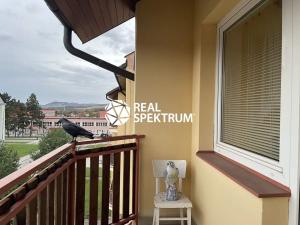 Pronájem bytu 1+1, Letovice, J. Haška, 32 m2