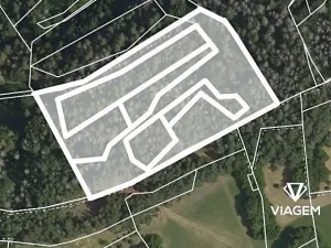 Prodej podílu lesa, Koroužné, 3262 m2