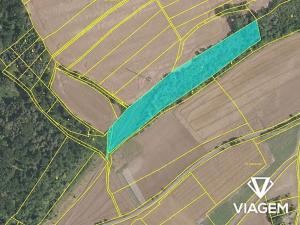 Prodej podílu lesa, Kochánky, 10625 m2