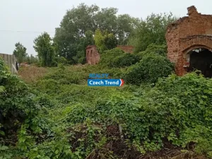 Prodej pozemku pro bydlení, Javorník, 799 m2