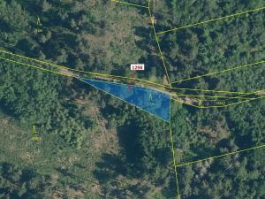 Dražba lesa, Černíkov, 522 m2