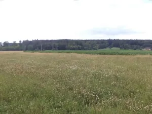 Dražba pole, Roudné, 8259 m2