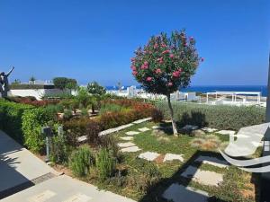 Prodej bytu 1+1, Agios Amvrosios Keryneias, Kypr, 62 m2