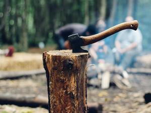 Prodej podílu lesa, Tichá, 6435 m2