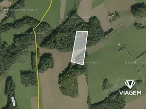 Prodej podílu lesa, Tichá, 6435 m2