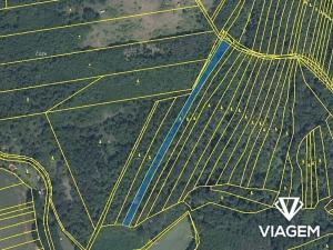 Prodej podílu lesa, Rybníky, 2317 m2