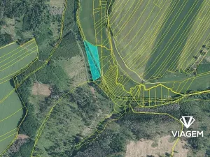 Prodej podílu lesa, Velká Bíteš, 1431 m2