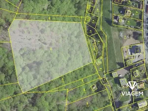 Prodej podílu lesa, Davle, 6247 m2