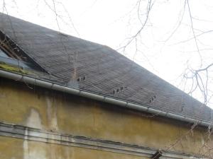 Dražba rodinného domu, Horní Podluží, 10 m2