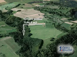 Prodej podílu lesa, České Lhotice, 7146 m2