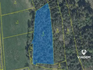 Prodej podílu lesa, Koloveč, 707 m2