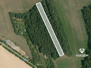 Prodej podílu lesa, Koloveč, 427 m2