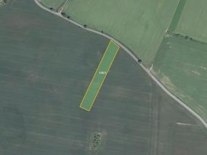 Prodej pole, Biskupice-Pulkov, 11664 m2