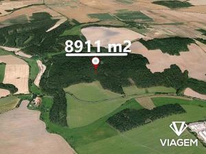 Prodej podílu lesa, Koloveč, 2599 m2