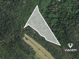 Prodej podílu lesa, Kuřimská Nová Ves, 8824 m2