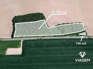 Prodej podílu lesa, Kořenice, 17931 m2