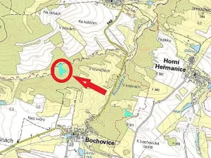 Prodej lesa, Bochovice, 10509 m2