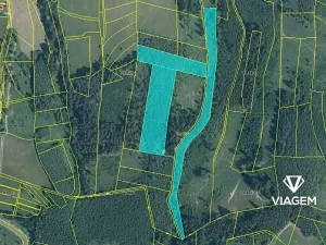 Prodej lesa, Mikulůvka, 28243 m2