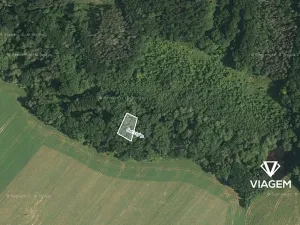 Prodej lesa, Čučice, 470 m2
