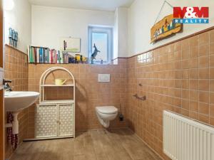 Prodej rodinného domu, Střelské Hoštice - Sedlo, 350 m2