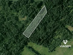 Prodej lesa, Borkovice, 8398 m2