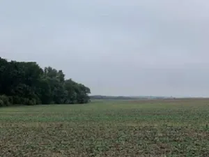 Dražba pole, Budyně nad Ohří, 23046 m2