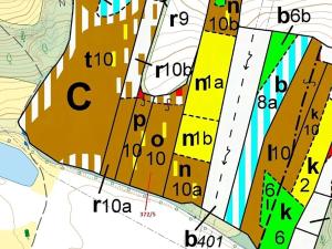 Dražba lesa, Přílepy, 7060 m2