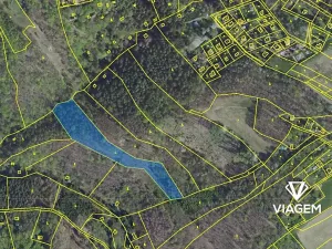 Prodej lesa, Krňany, 8704 m2