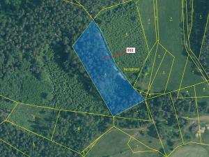 Dražba lesa, Rabí, 7006 m2