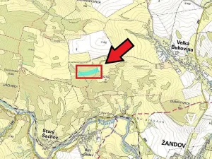 Prodej podílu lesa, Velká Bukovina, 2383 m2