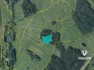 Prodej podílu lesa, Vítanov, 1399 m2