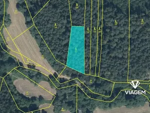 Prodej podílu lesa, Chýstovice, 485 m2