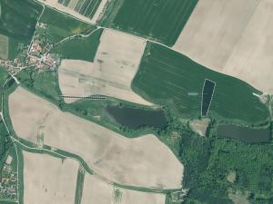 Prodej pole, Kluky, 21656 m2