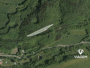 Prodej lesa, Bratřejov, 4091 m2