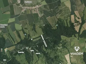 Prodej podílu lesa, Kněždub, 3060 m2