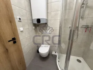 Pronájem bytu 2+1, Rostěnice-Zvonovice, 64 m2