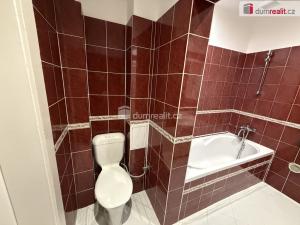 Pronájem bytu 3+kk, Ústí nad Labem - Střekov, Žukovova, 79 m2