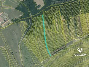 Prodej podílu pole, Břeclav, 539 m2