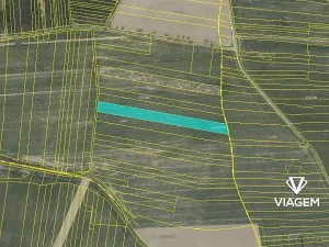 Prodej podílu pole, Slabčice, 2944 m2