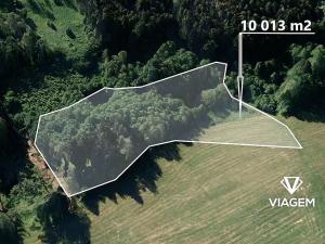 Prodej podílu lesa, Kaliště, 2503 m2