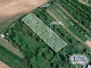 Prodej podílu zahrady, Ježov, 192 m2