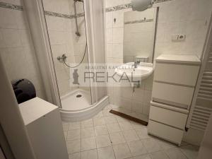 Pronájem bytu 1+kk, Praha - Vinohrady, Londýnská, 28 m2