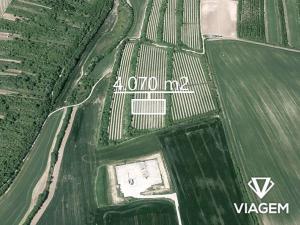 Prodej podílu sadu/vinice, Žarošice, 1017 m2