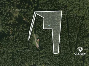 Prodej podílu lesa, Morávka, 5587 m2