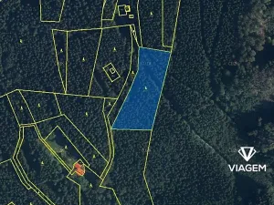 Prodej podílu lesa, Morávka, 4866 m2